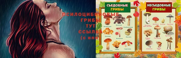 мет Абдулино