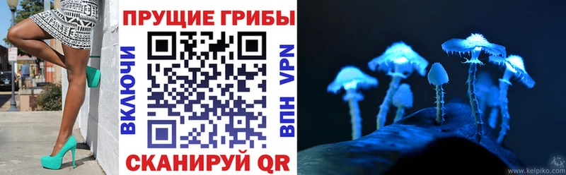 ссылка на мегу зеркало  где продают   Канск  Псилоцибиновые грибы MAGIC MUSHROOMS 